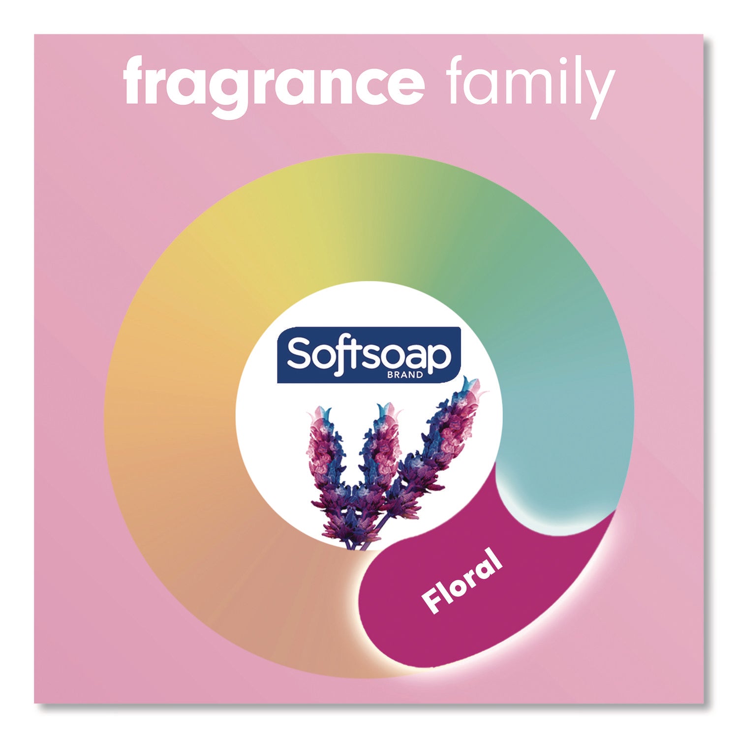 Softsoap Coconut Hand Soap - Coconut & Hibiscus ScentFor - 11.3 fl oz (332.7 mL) - Pump Bottle Dispenser - Bacteria Remover, Dirt Remover - Hand, Skin - Moisturizing - Refillable, Recyclable, Paraben-free, Phthalate-free, Biodegradable - 1 Each