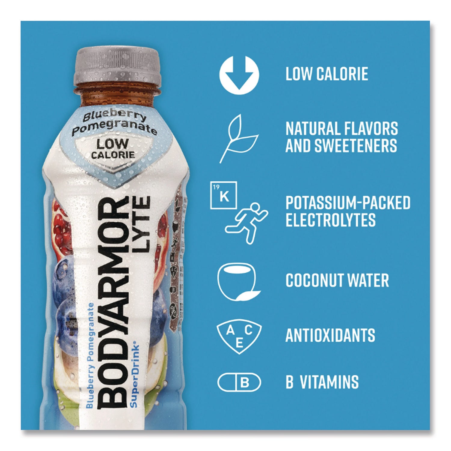 LYTE Sports Drink, Blueberry Pomegranate, 16 oz Bottle, 12/Pack