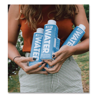 Spring Water, 16.9 oz, 12/Carton