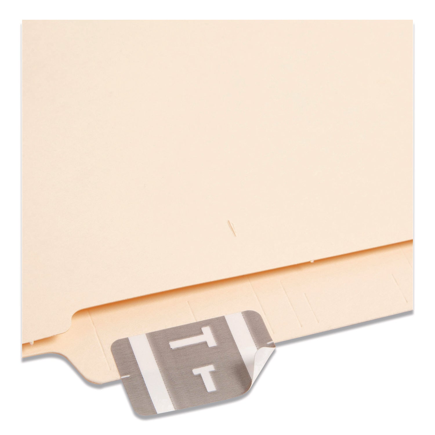 AlphaZ Color-Coded Second Letter Alphabetical Labels, T, 1 x 1.63, Gray, 10/Sheet, 10 Sheets/Pack