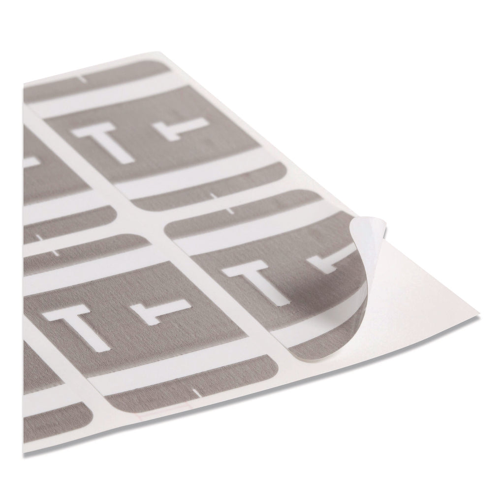 AlphaZ Color-Coded Second Letter Alphabetical Labels, T, 1 x 1.63, Gray, 10/Sheet, 10 Sheets/Pack