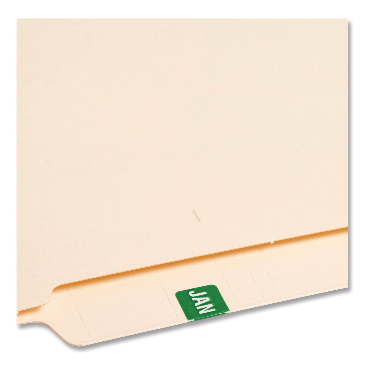 Monthly End Tab File Folder Labels, JAN-DEC, 0.5 x 1, Assorted, 25/Sheet, 120 Sheets/Box