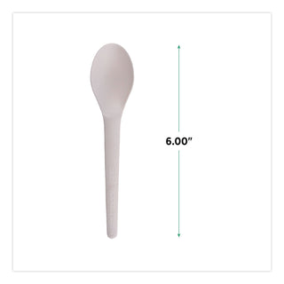 Plantware Compostable Cutlery, Spoon, 6", Pearl White, 50/Pack, 20 Pack/Carton