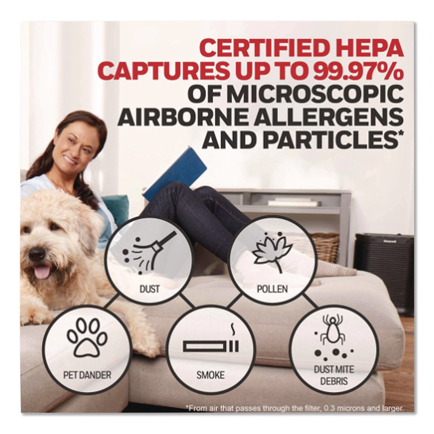 True HEPA Air Purifier Replacement Filter, 6.75 x 10.32