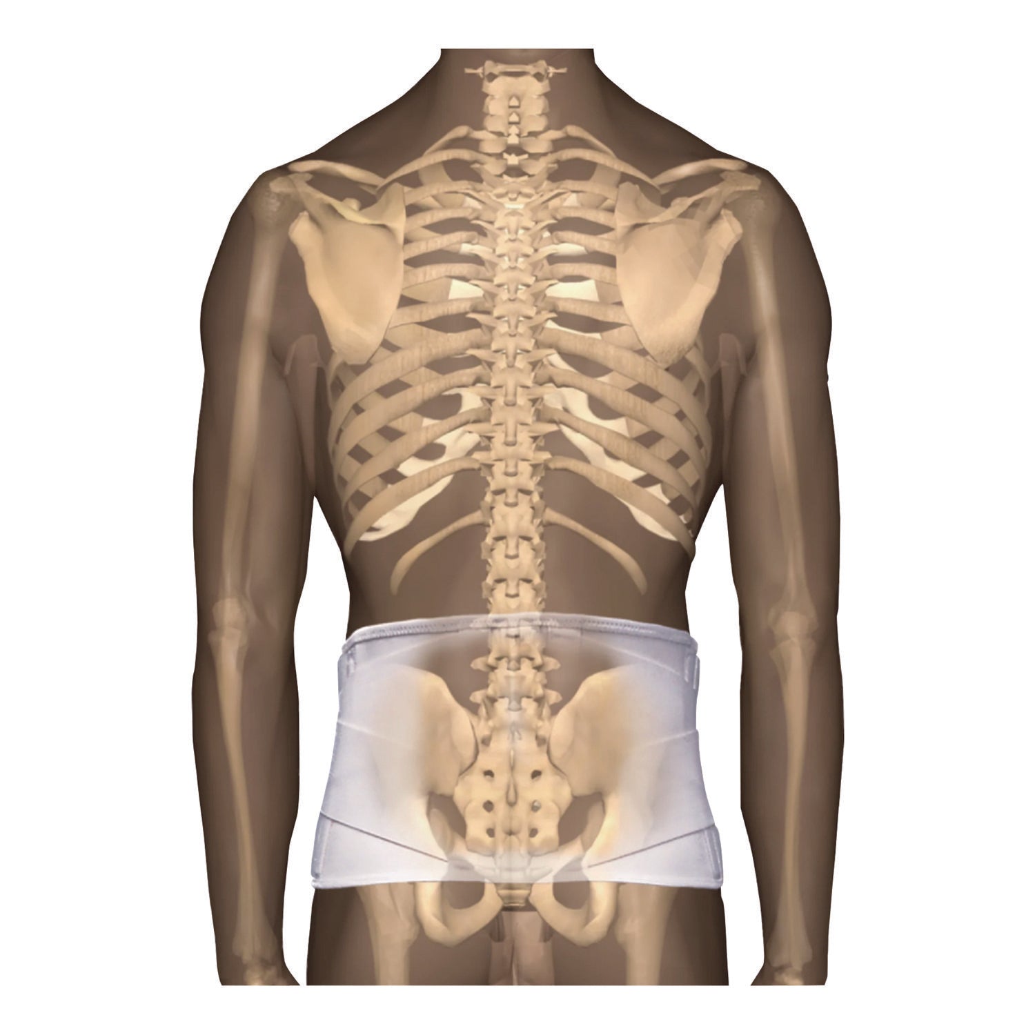 CorFit System Lumbosacral Spinal Back Support, X-Large, 40" to 52" Waist, White
