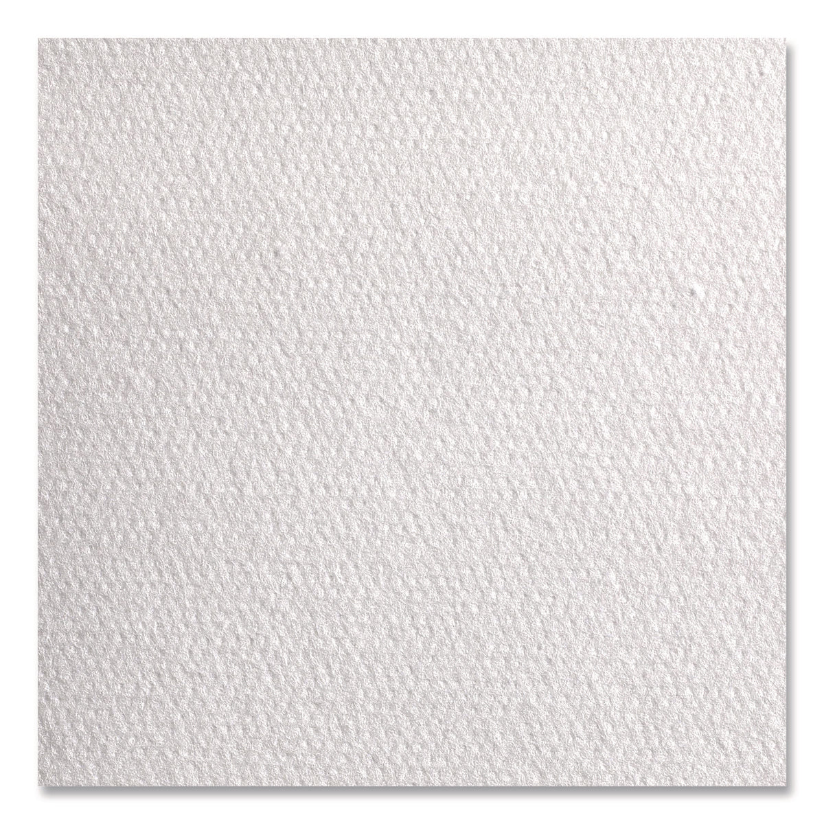 Professional Cleaning Towels, 1-Ply, 12 x 13, White, 50/Pack, 18 Packs/Carton
