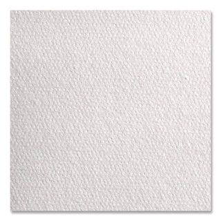 Professional Cleaning Towels, 1-Ply, 12 x 13, White, 50/Pack, 18 Packs/Carton