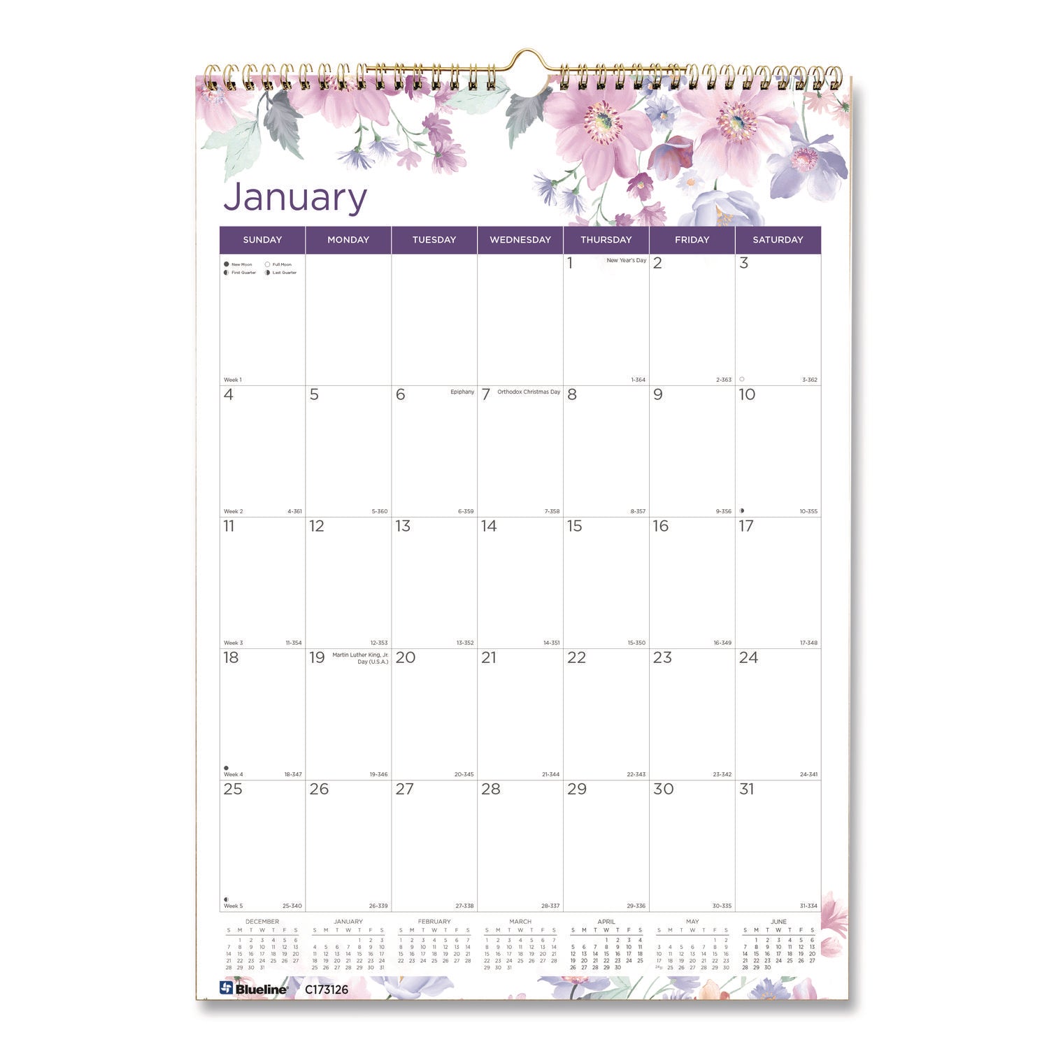 12-Month Colorful Wall Calendar, Watercolor Floral Artwork, 12 x 17, White/Multicolor Sheets, 12-Month (Jan to Dec): 2024