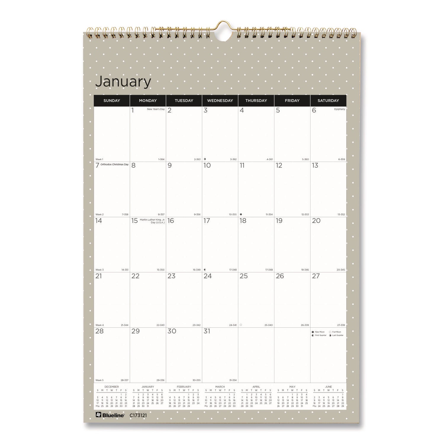 12-Month Wall Calendar, Succulent Plants Photography, 12 x 17, White/Multicolor Sheets, 12-Month (Jan to Dec): 2024