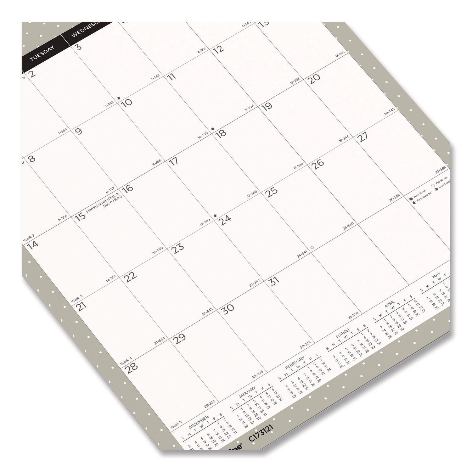 12-Month Wall Calendar, Succulent Plants Photography, 12 x 17, White/Multicolor Sheets, 12-Month (Jan to Dec): 2024
