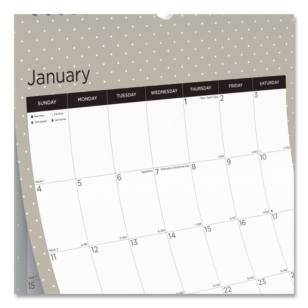 12-Month Wall Calendar, Succulent Plants Photography, 12 x 17, White/Multicolor Sheets, 12-Month (Jan to Dec): 2024