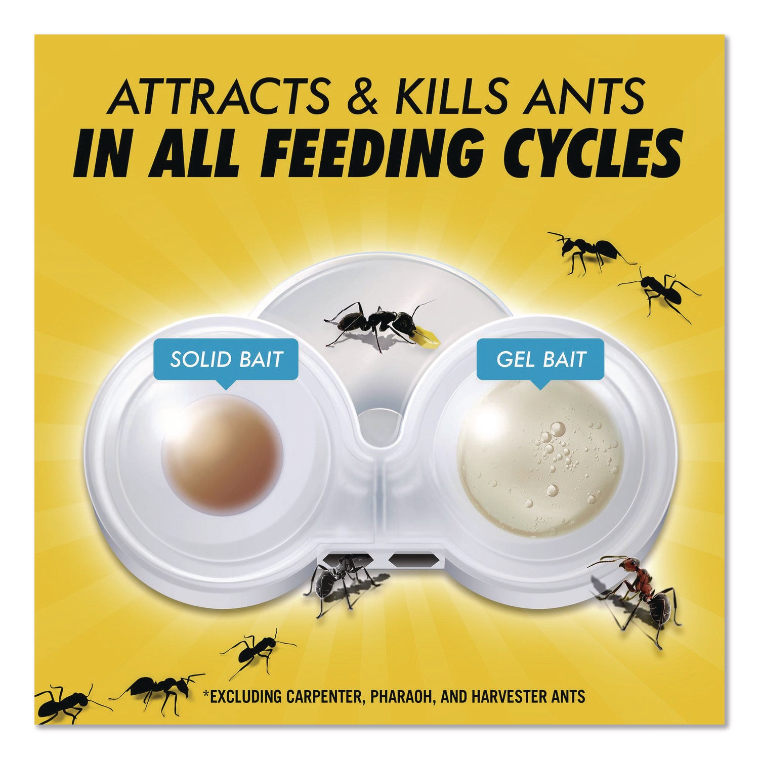 Max 2-in-1 Ant Bait, 4/Pack, 8 Packs/Carton