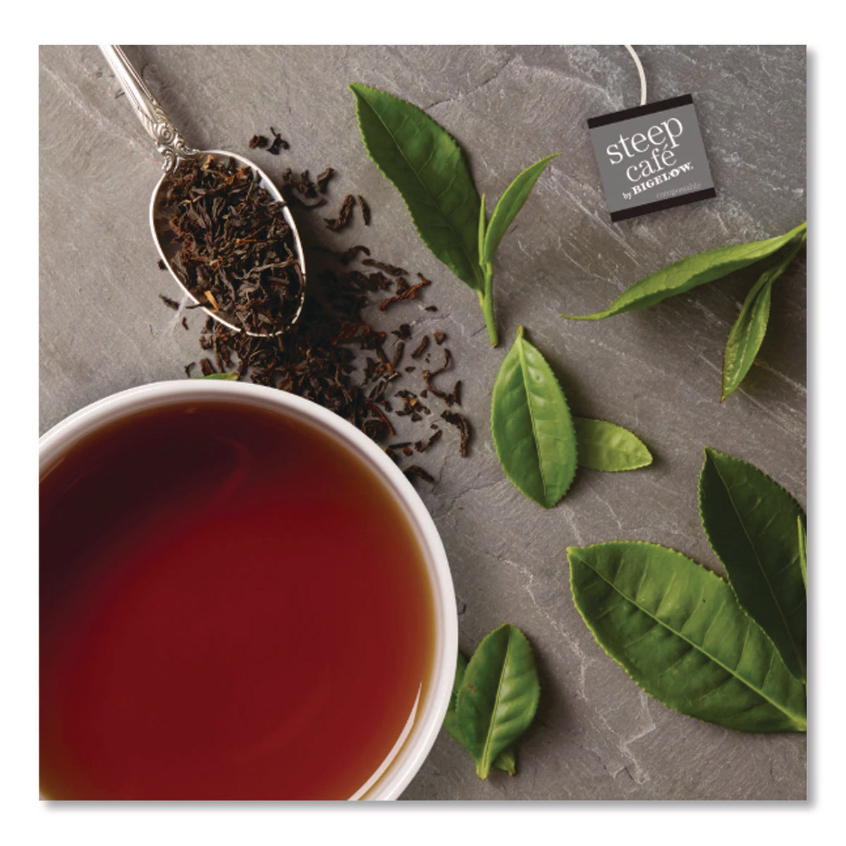 steep Cafe Organic Black Tea, English Breakfast, 50 Bags/Carton