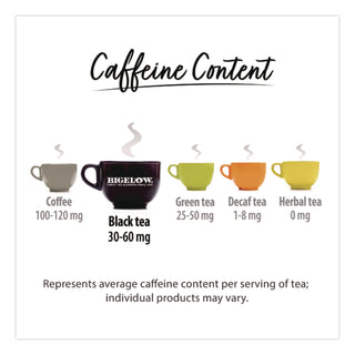 steep Cafe Organic Black Tea, English Breakfast, 50 Bags/Carton