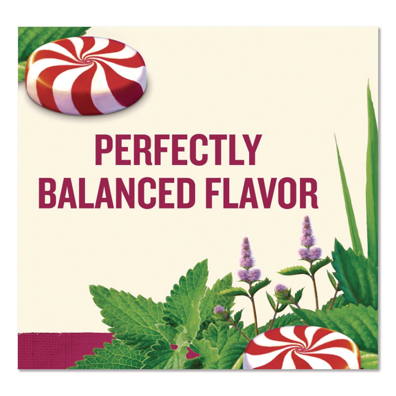 Tea, Herbal Peppermint, 25/Box