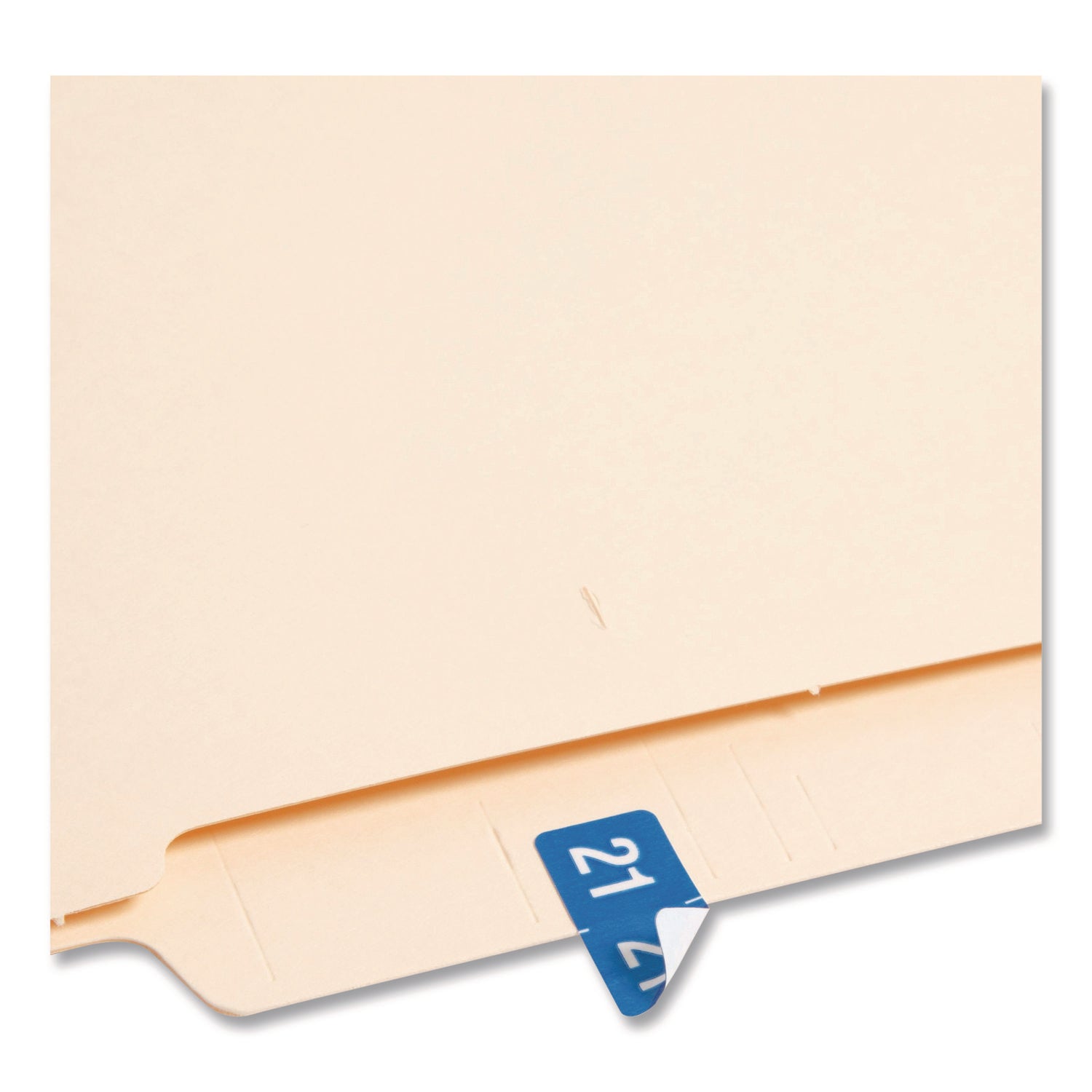 Year 2021 End Tab Folder Labels, 1 x 0.5, Light Blue/White, 250 Labels/Pack