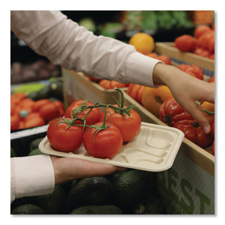 Fiber Trays, PLA Lined, PFAS Free, 1-Compartment, 8.3 x 4.9 x 0.7, Natural, Paper, 500/Carton