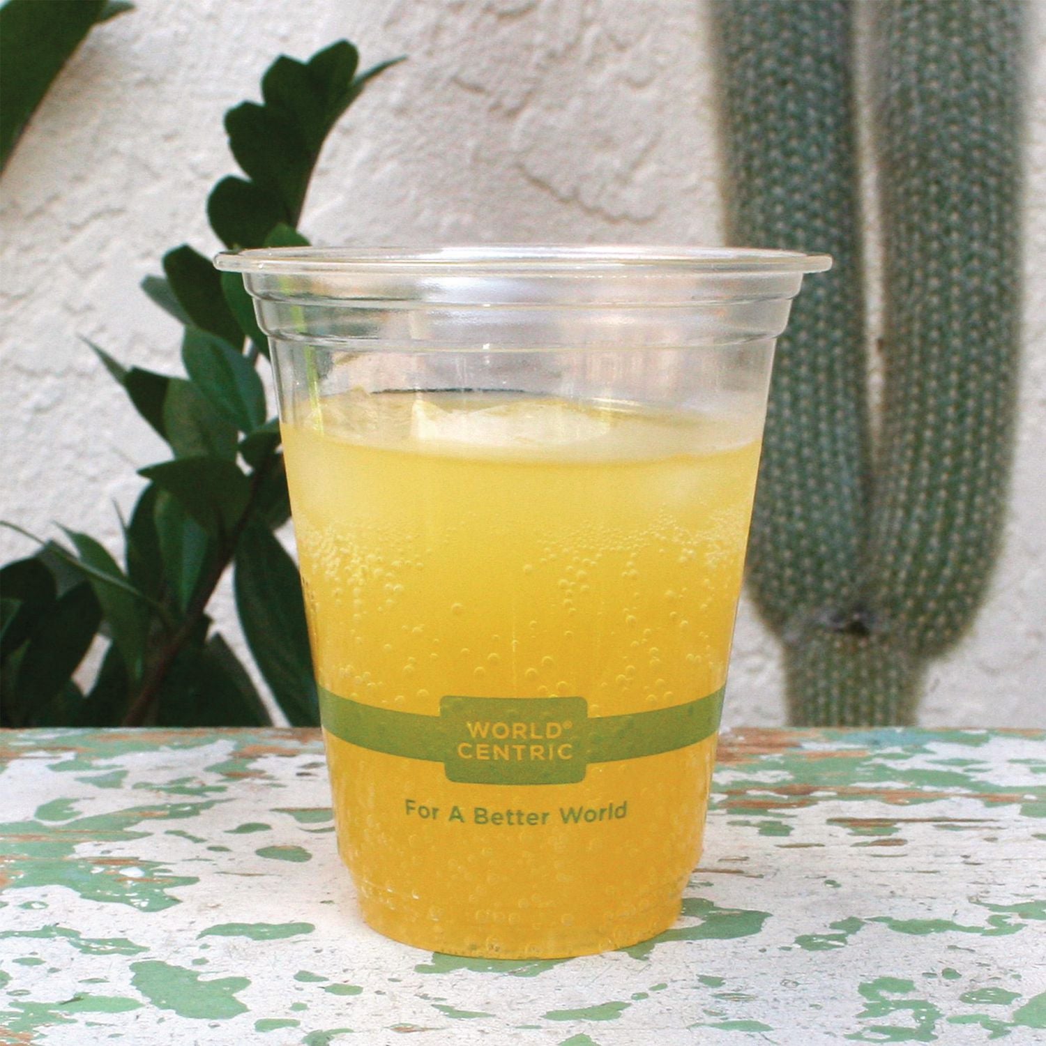 PLA Clear Cold Cups, 12 oz, Clear, 1,000/Carton