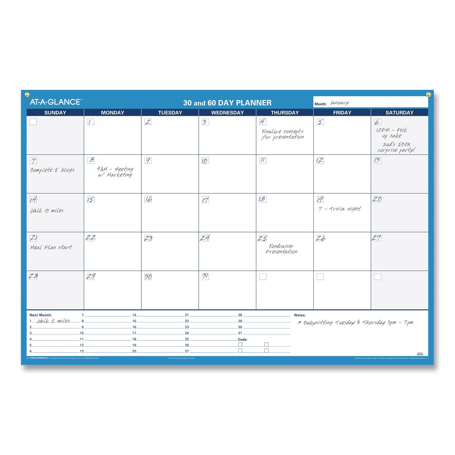 30/60-Day Undated Horizontal Erasable Wall Planner, 36 x 24, White/Blue Sheets, Undated