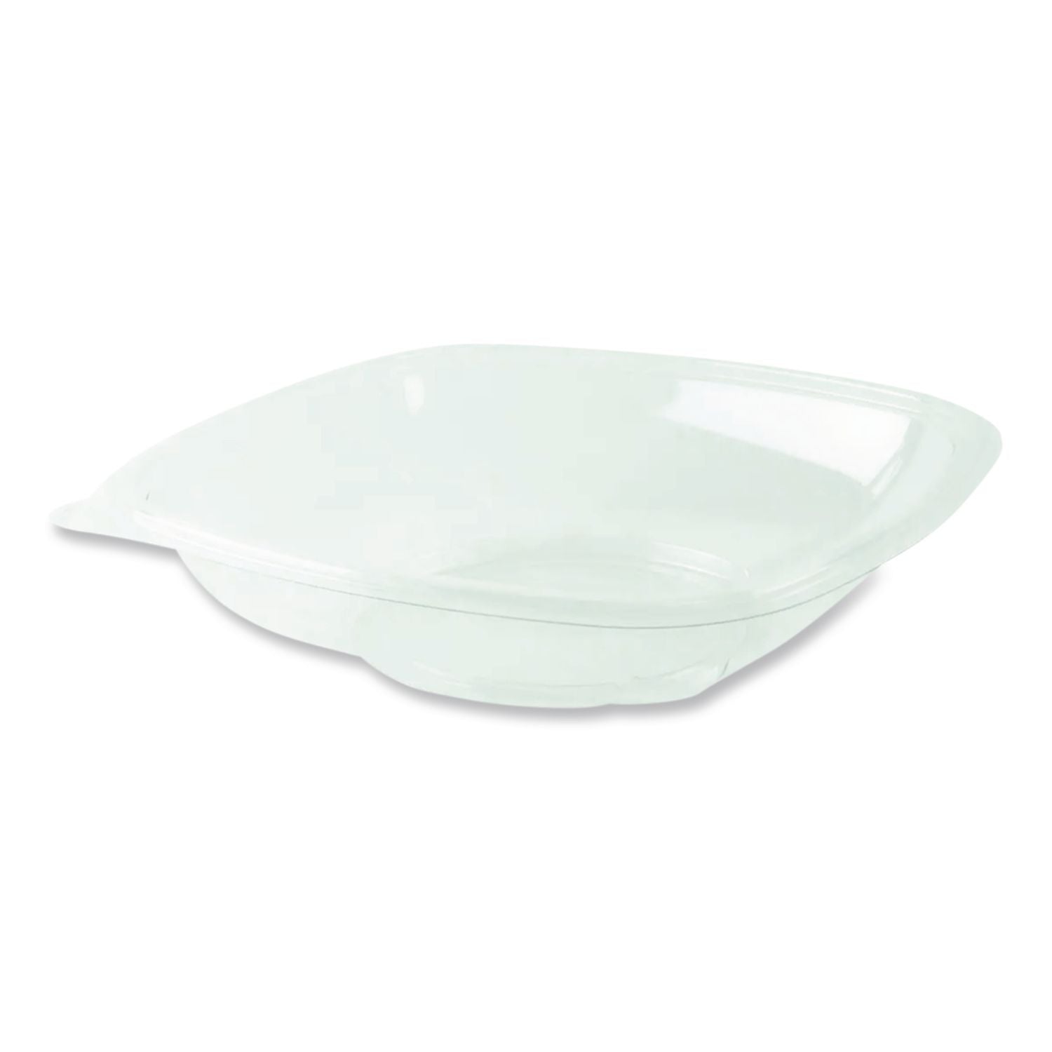 Bowl,Salad,Clr