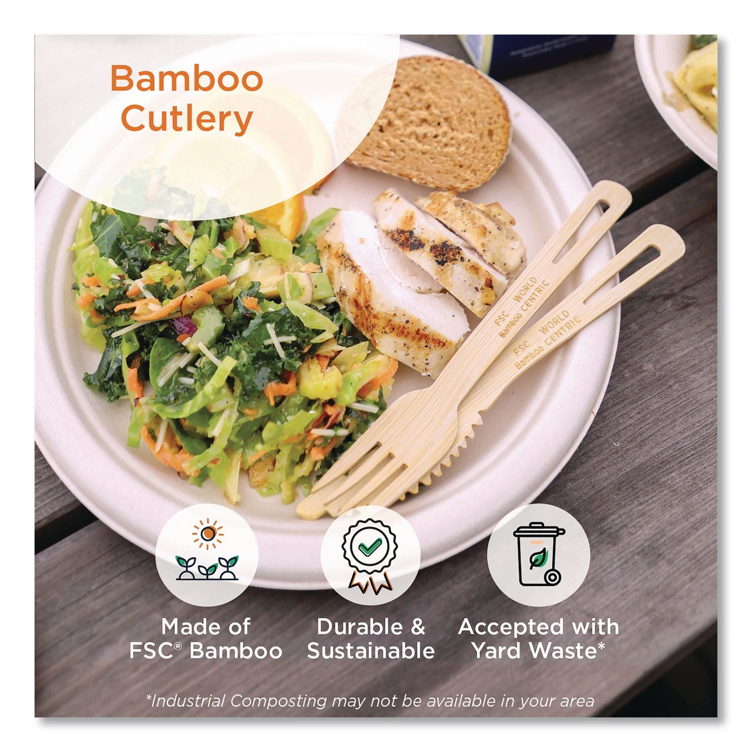 Bamboo Cutlery, Fork, 6.7", Natural, 2,000/Carton