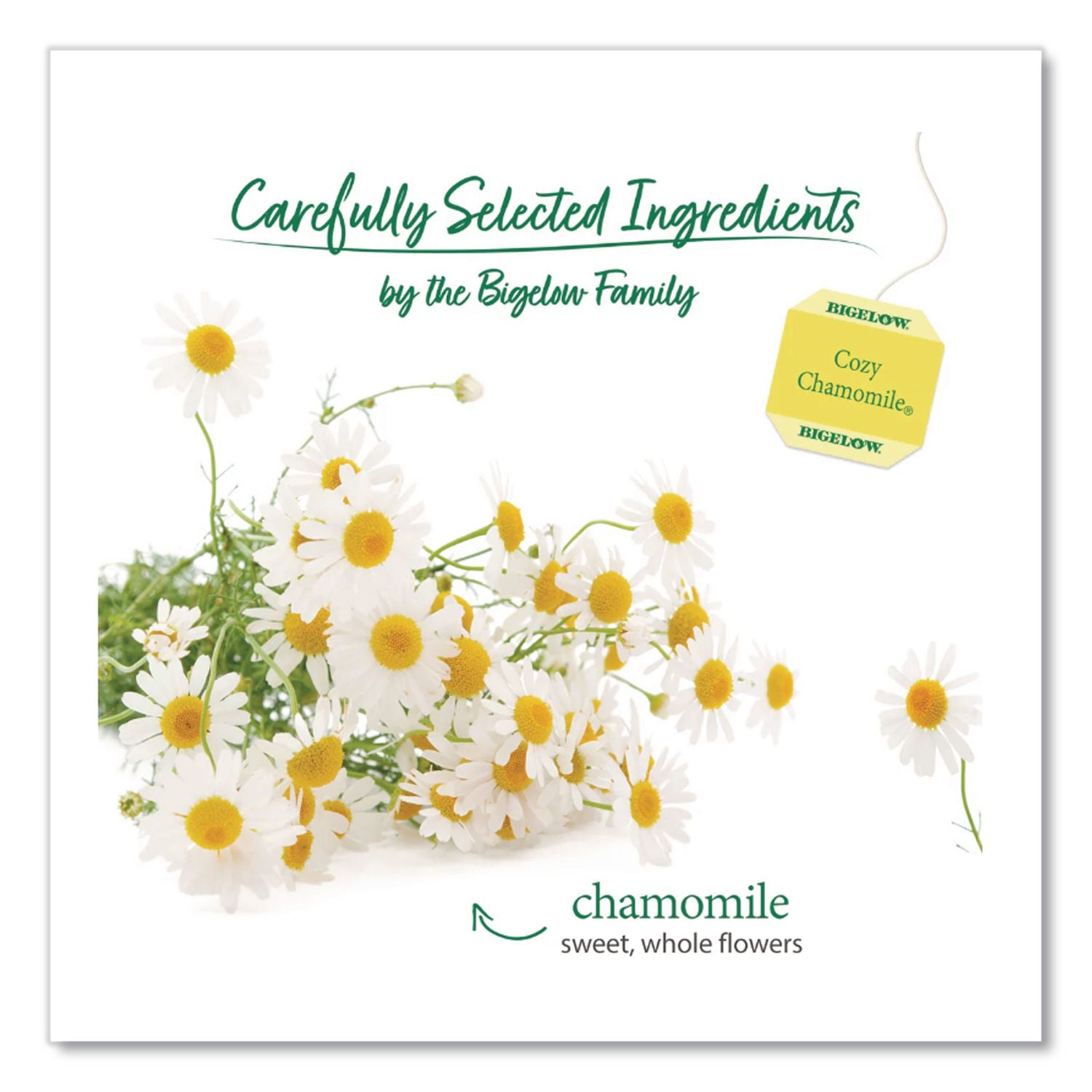 Single Flavor Tea, Cozy Chamomile, 28 Bags/Box