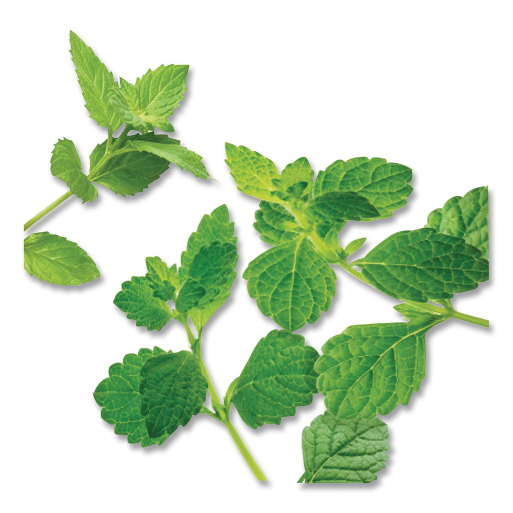 Mint Medley Herbal Tea, 28/Box