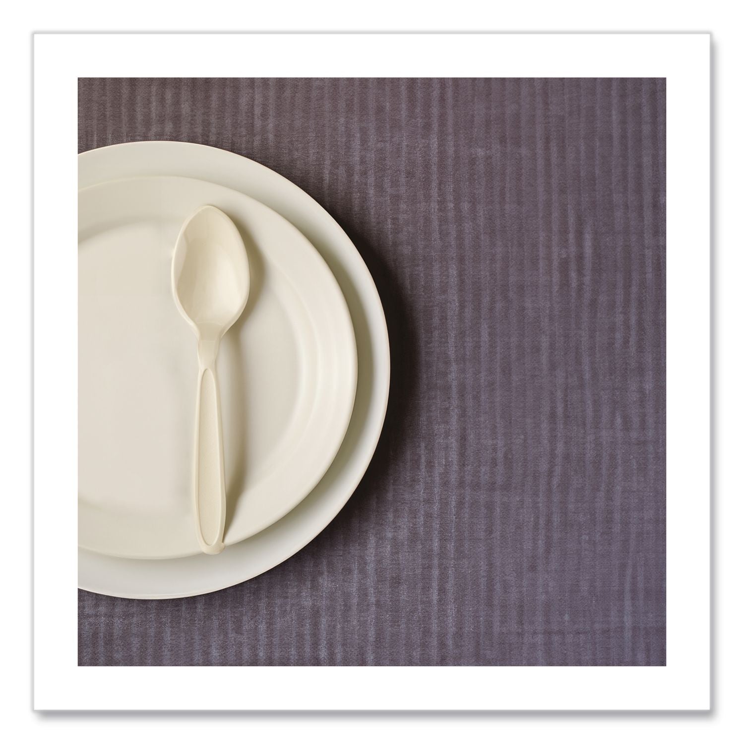 Reliance Mediumweight Cutlery, Teaspoon, Champagne, Bulk, 1,000/Carton