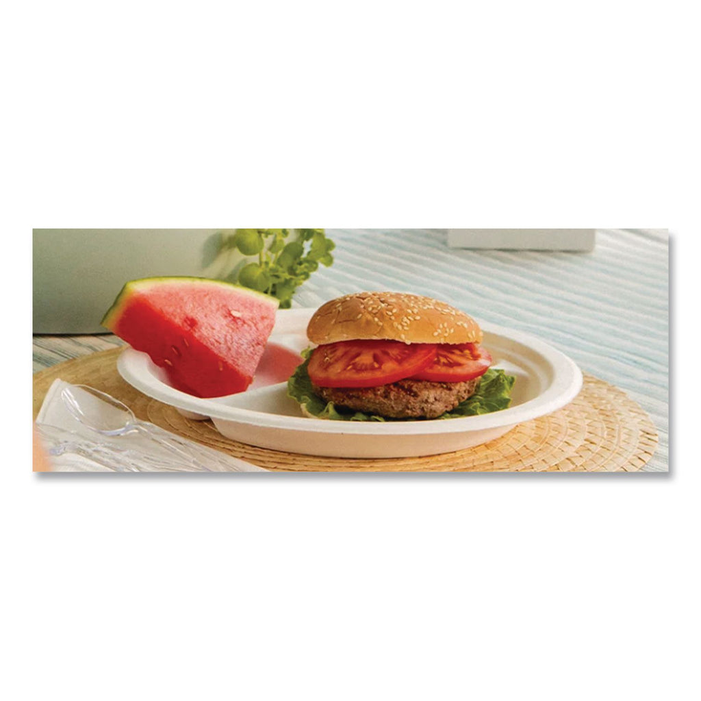 Paper Dinnerware, 3-Compartment Plate, 9.25" dia, White, 500/Carton