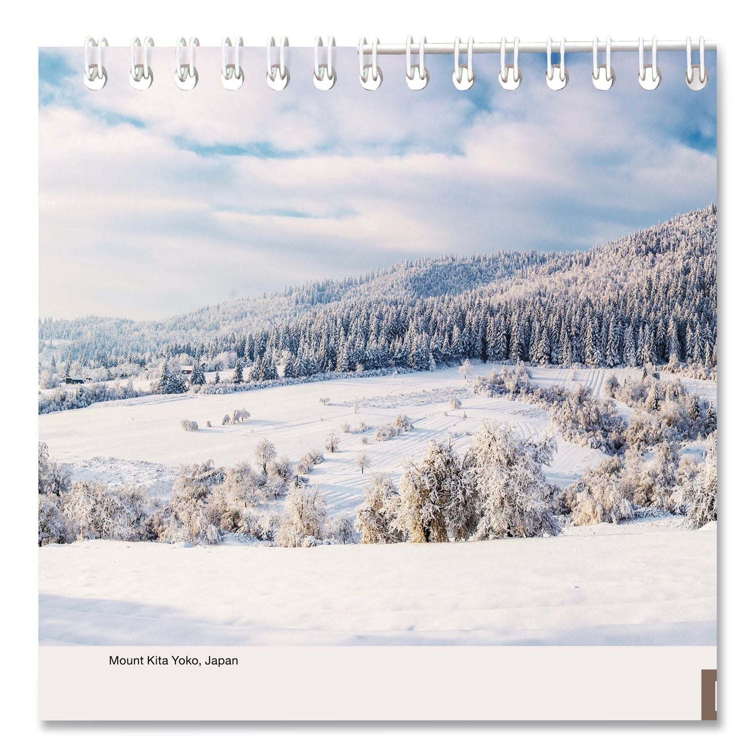 Scenic Three-Month Wall Calendar, Scenic Landscape Photography, 12 x 27, White Sheets, 14-Month (Dec to Jan): 2023 to 2025