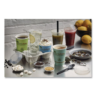 EarthChoice Strawless RPET Lid, Flat Lid, Fits 9 oz to 20 oz "A" Cups, Clear 1,020/Carton