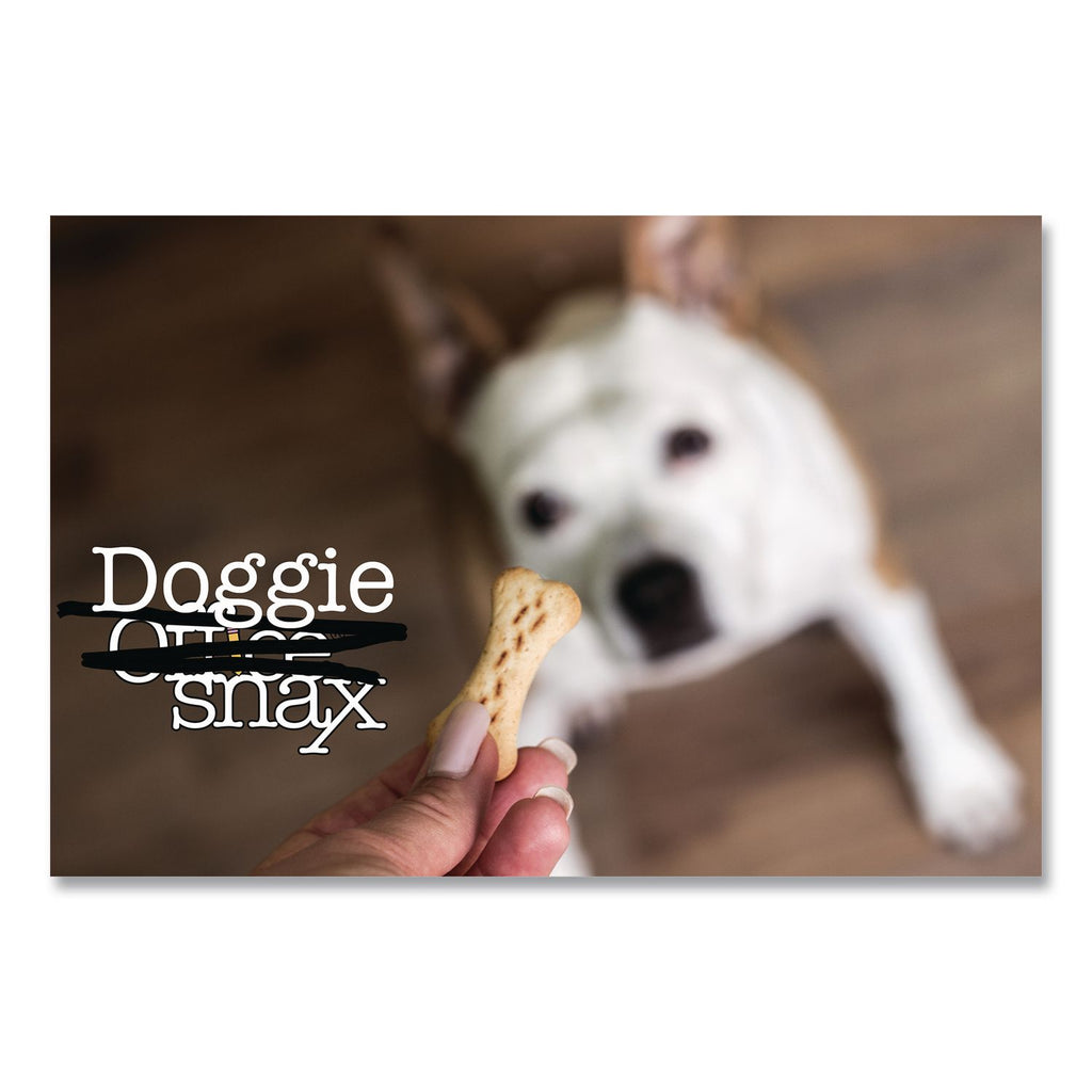 Doggie Biscuits, 10 lb Box