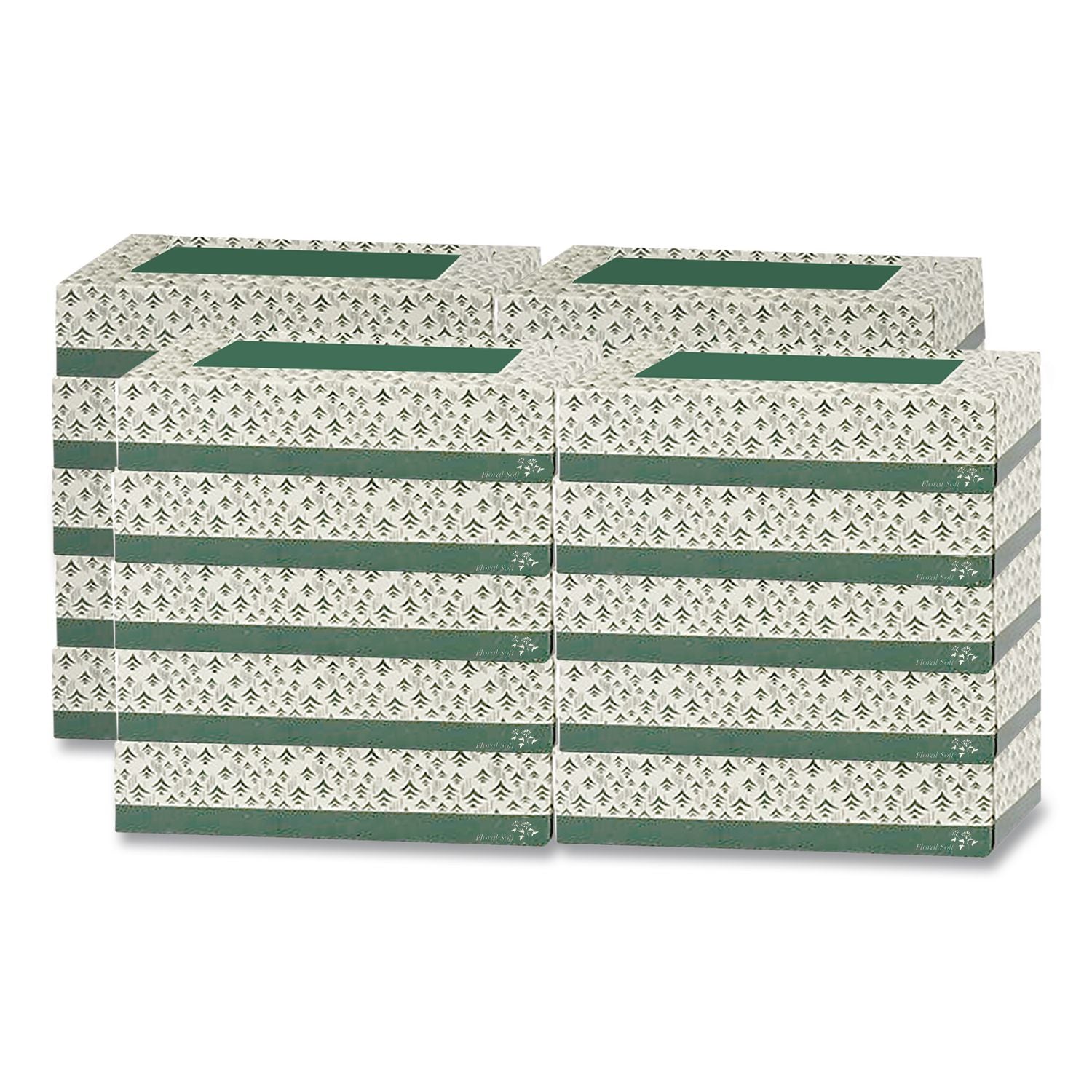 White Facial Tissue, 2-Ply, 100 Sheets/Box, 30 Boxes/Carton