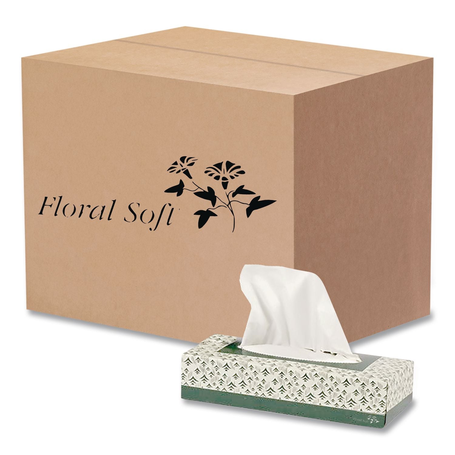 White Facial Tissue, 2-Ply, 100 Sheets/Box, 30 Boxes/Carton