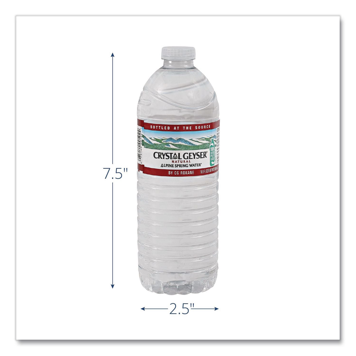 Alpine Spring Water, 16.9 oz Bottle, 24/Carton