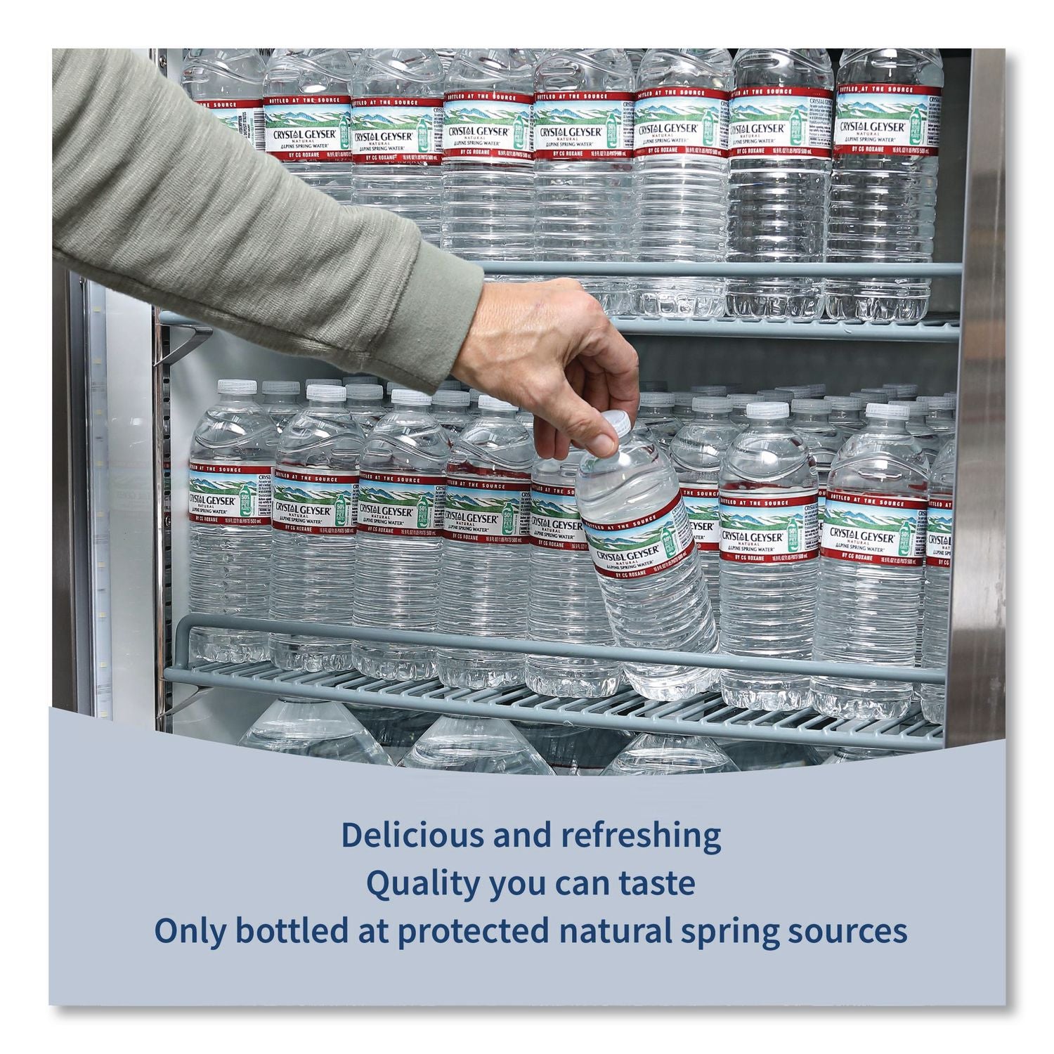 Alpine Spring Water, 16.9 oz Bottle, 35/Carton