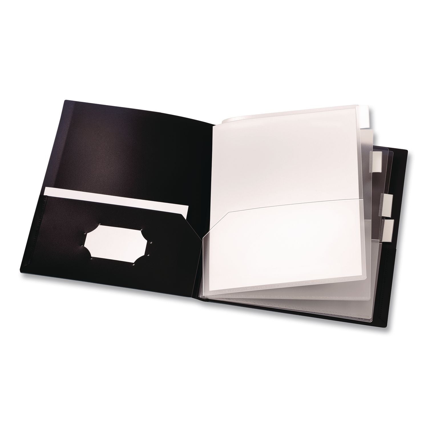 ReportPro 10-Pocket Project Organizer, 8.5 x 11, Clear/Black