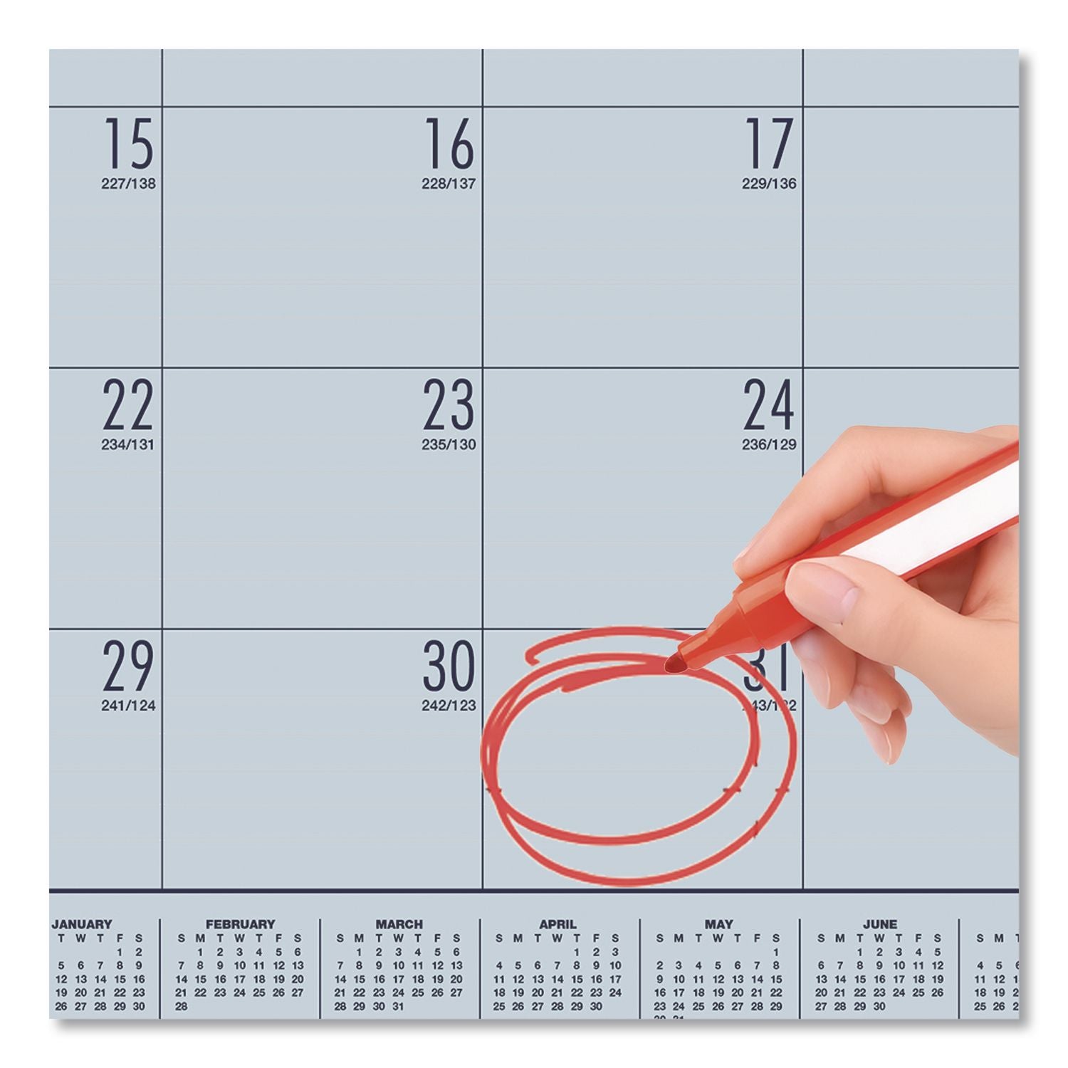 EcoTones Recycled Academic Desk Pad Calendar, 18.5 x 13, Orchid Sheets, Cordovan Corners, 12-Month (Aug-July): 2023-2024