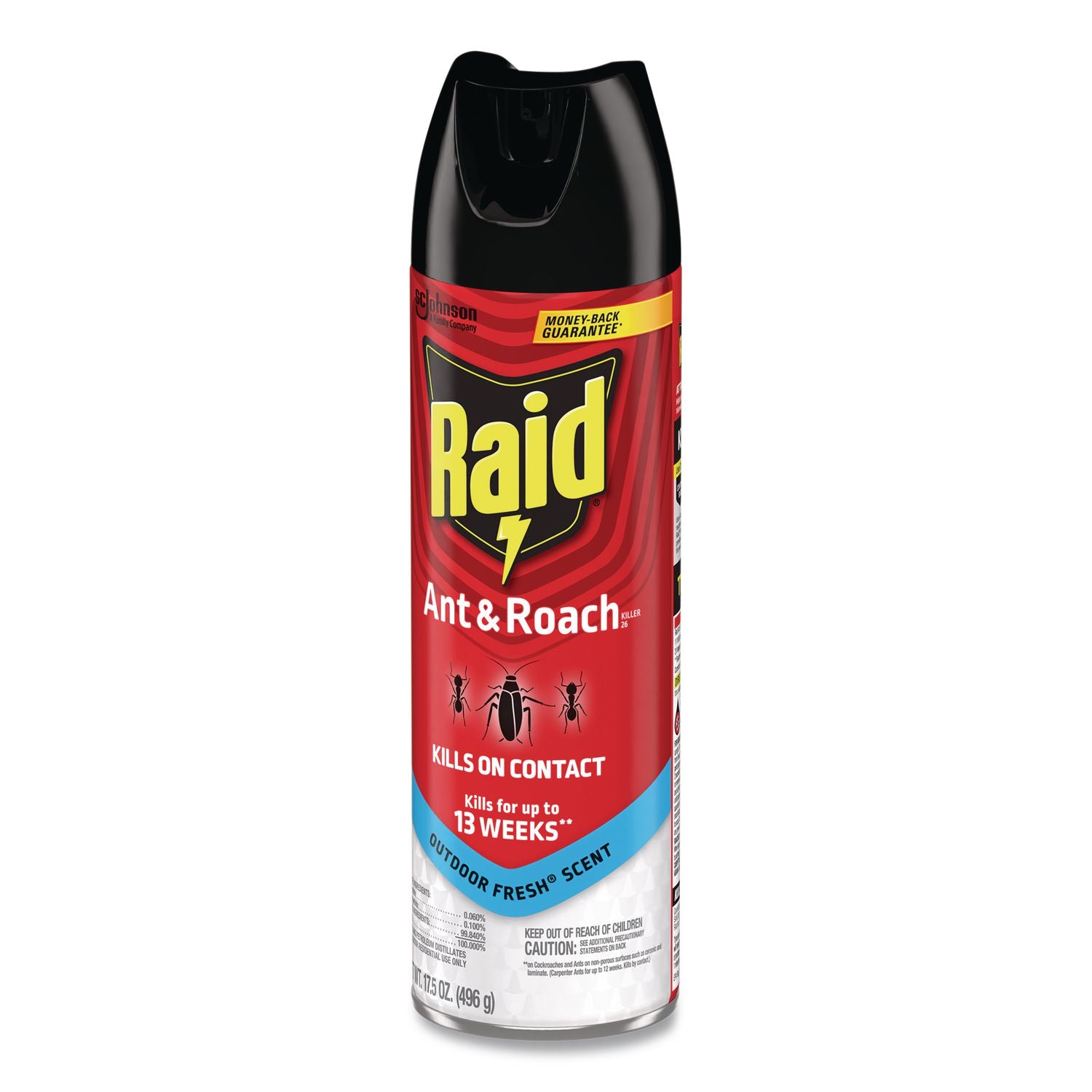 Ant and Roach Killer, 17.5 oz Aerosol Spray, Outdoor Fresh, 12/Carton