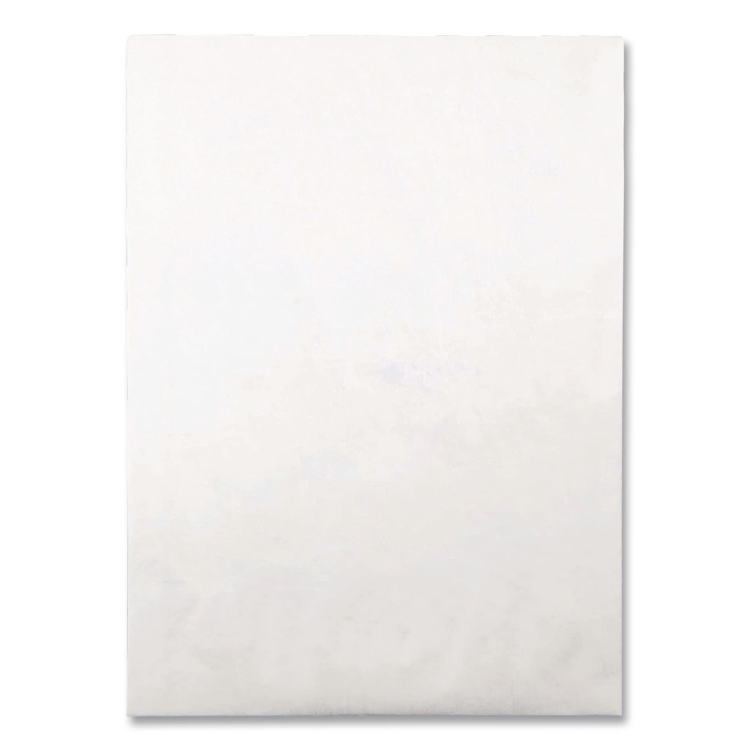 Lightweight 14 lb Tyvek Open End Expansion Mailers, #15 1/2, Cheese Blade Flap, Redi-Strip Closure, 12 x 16, White, 25/Box