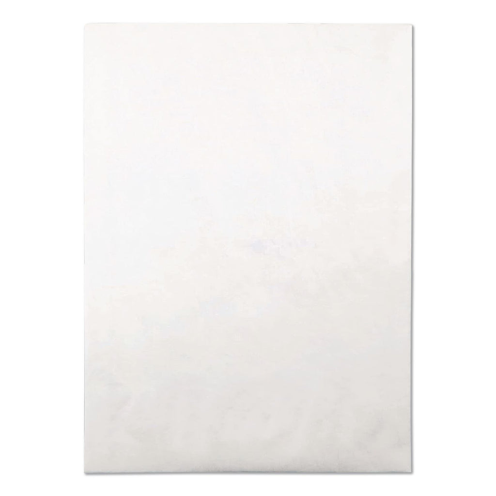 Light 14 lb Tyvek Open End Expansion Mailer Value Pack, #13 1/2, Flip-Stik Flap, Redi-Strip Closure, 10 x 13, White, 100/CT