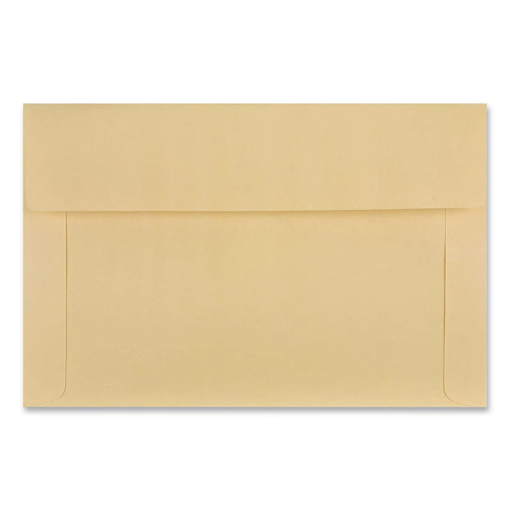 Filing Envelopes, Letter Size, Cameo Buff, 100/Box