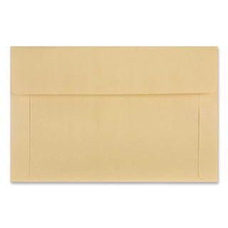Filing Envelopes, Letter Size, Cameo Buff, 100/Box