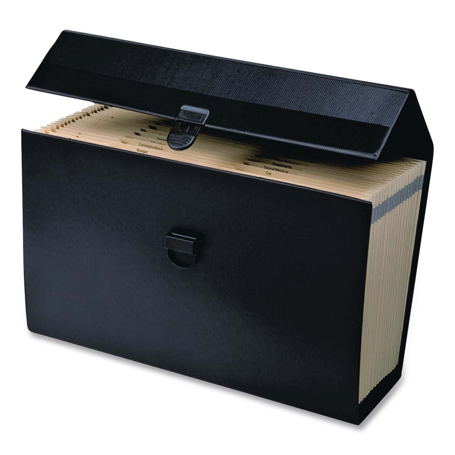 Letter/Legal Expanding Organizer, 15" Expansion, 19 Sections, Buckle Closure, 1/5-Cut Tabs, Legal Size, Black