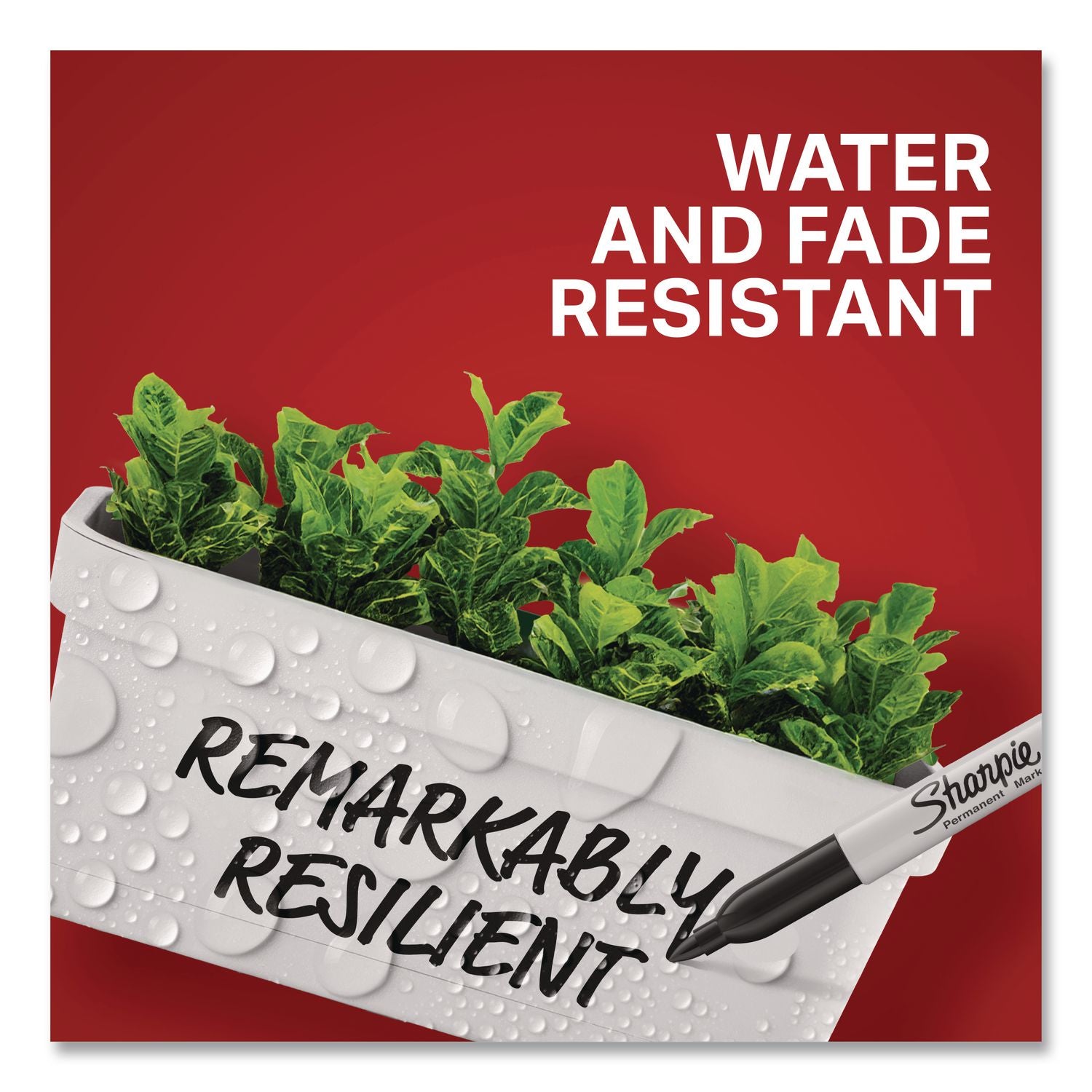 Sharpie Fine Point Permanent Marker - Fine Marker Point - 0.5 mm Marker Point Size - Chisel Marker Point Style - Assorted Alcohol Based Ink - 3 / Pack