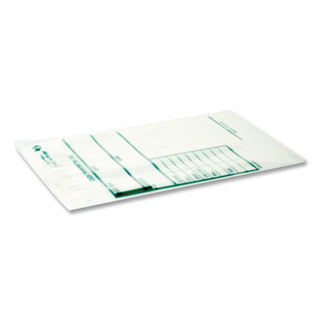 Cash Transmittal Bags, Printed Info Block, 6 x 9, Clear, 100/Pack