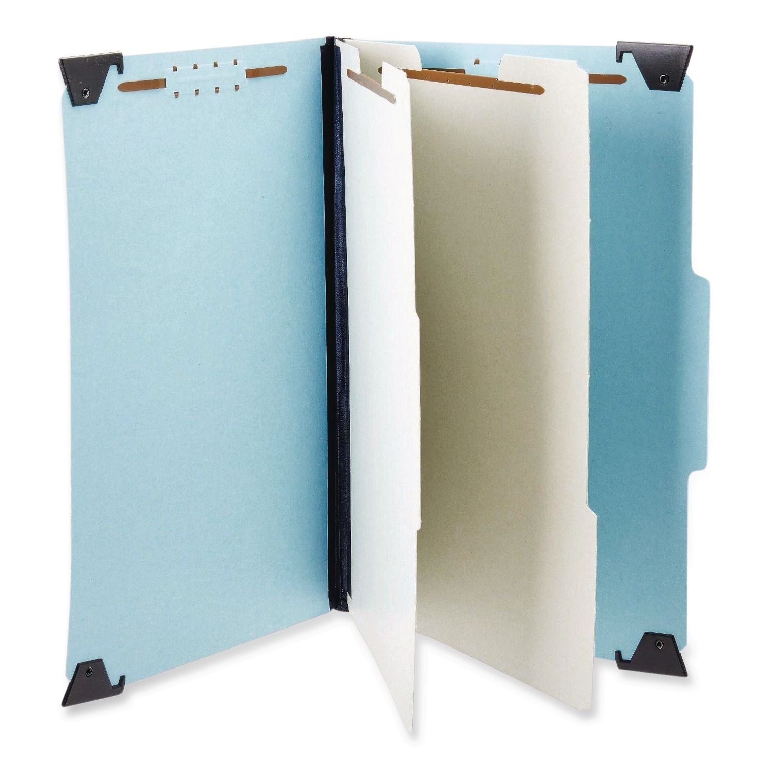 Hanging Classification Folders with Dividers, Letter Size, 2 Dividers, 2/5-Cut Exterior Tabs, Blue