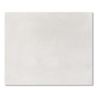 Lightweight 14 lb Tyvek Open End Expansion Mailers, #15 1/2, Square Flap, Redi-Strip Adhesive Closure, 12 x 16, White, 100/CT