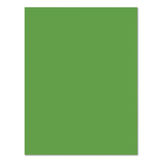 Neon Multi-Purpose Paper, 24 lb Bond Weight, 8.5 x 11, Green, 100/Pack
