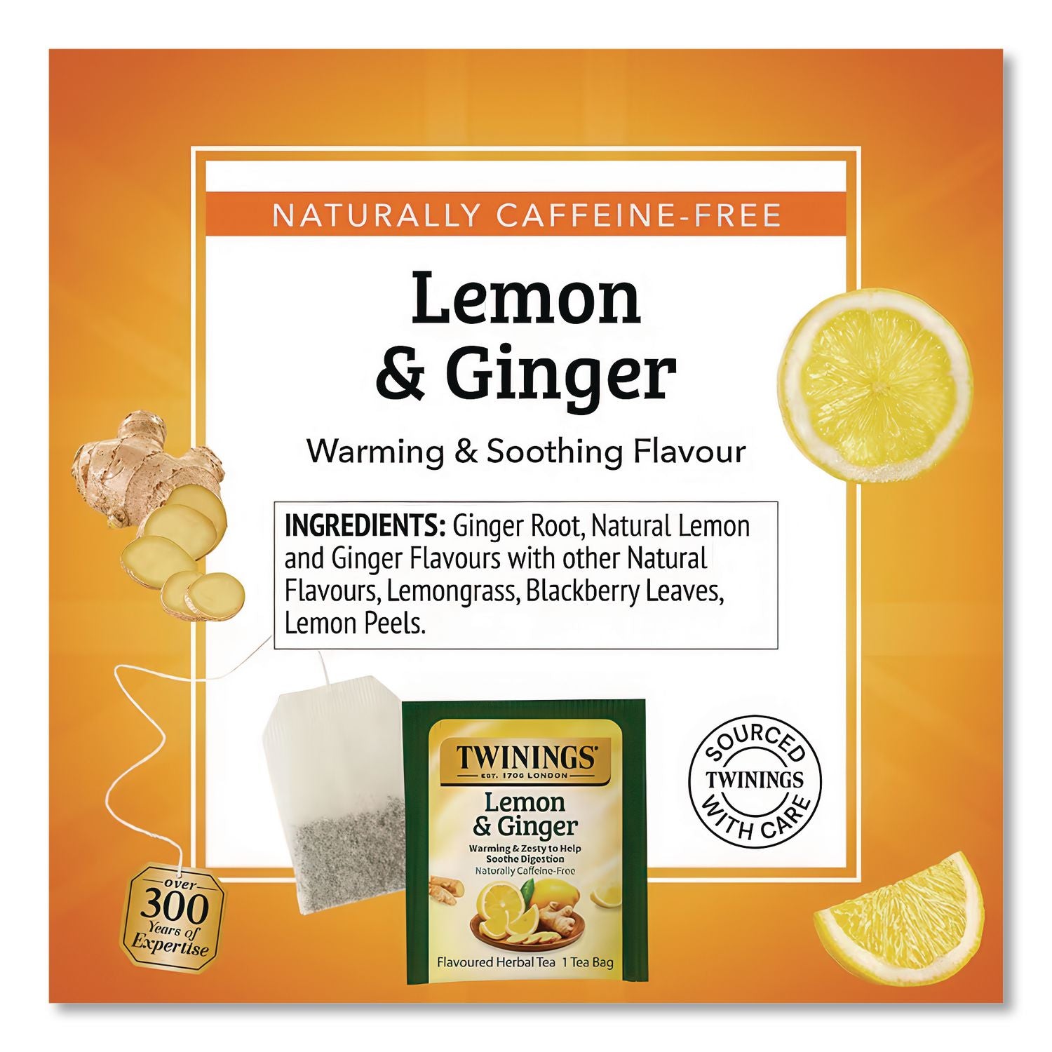 Tea Bags, Lemon and Ginger, 1.32 oz Tea Bag, 25 Tea Bags/Box